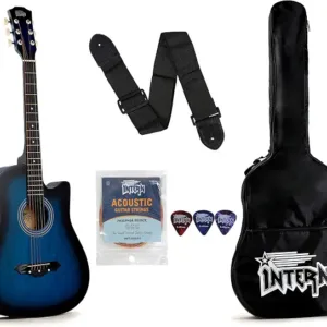 Intern 38 Inch Acoustic Guitar Kit for Beginners with Gig Bag, Strap, Extra Strings, 3 Picks & String Winder | Cutaway Steel String Guitar for Kids, Teens, Adults & Students | Right Hand | Blue